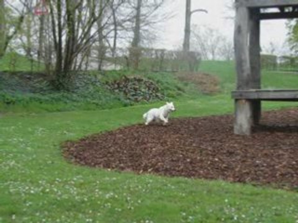 Jardin des deux rives