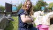 Arrival of Penguin Chicks at Folly Farm, Pembrokeshire