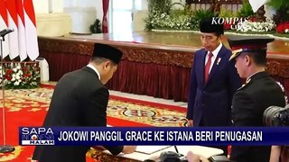 Presiden Jokowi Panggil Grace Natalie ke Istana, Apa yang Dibahas?