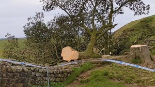 Sycamore Gap felling: Two men appear at Newcastle Magistrates’ Court