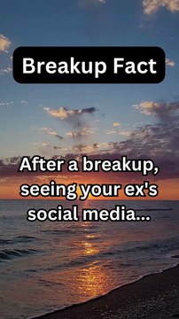 Breakup Fact | Unveiling Breakup Facts: The Psychology Behind Heartache and Healing | Daily Fact.