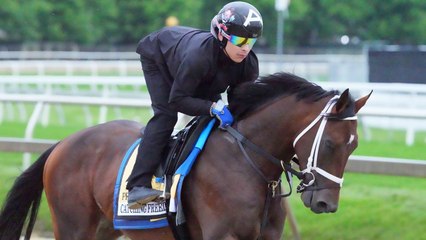 Catching Freedom vs. Mystik Dan: Preakness Horses to Watch