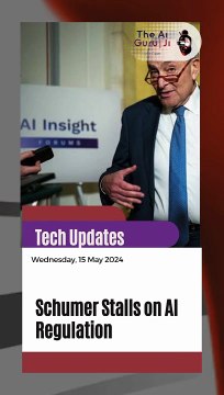 Schumer Stalls on AI Regulation