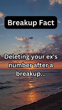 Breakup Fact | Unveiling Breakup Facts: The Psychology Behind Heartache and Healing | Daily Fact.