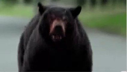 Screen recording 2024-04-10 11.50.29 AM