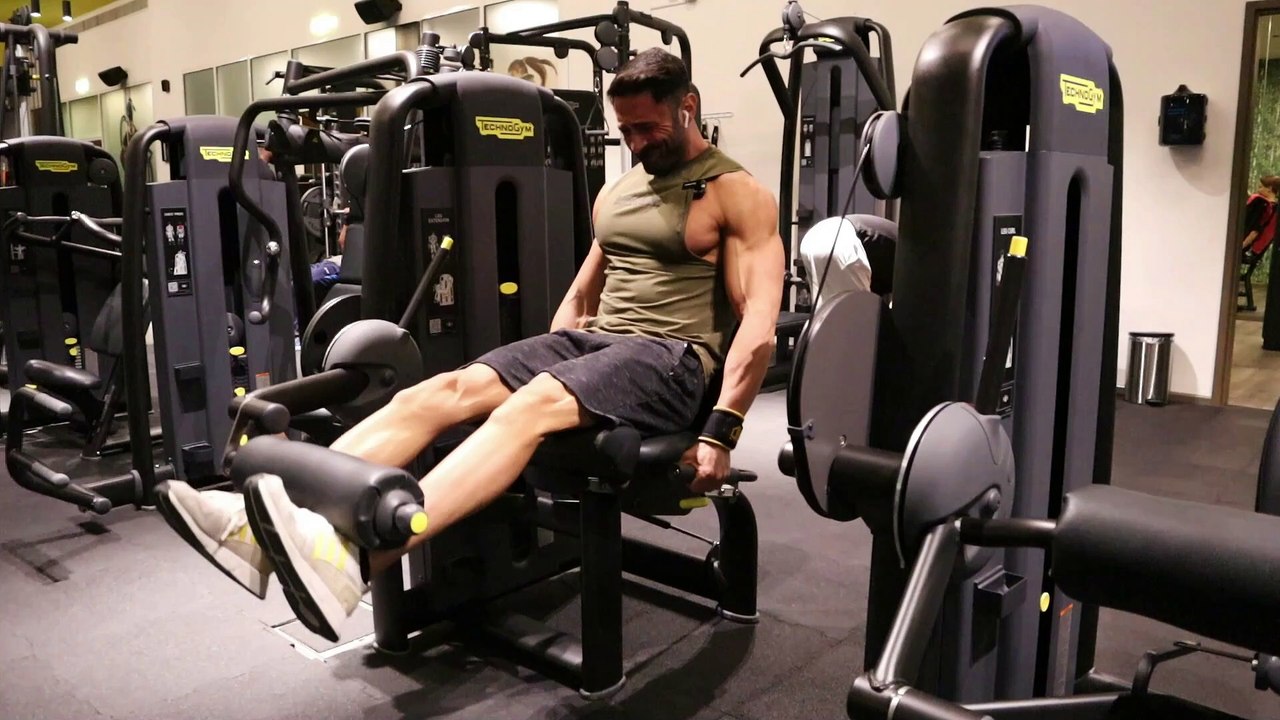 Leg Extension