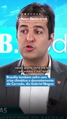 BRASÍLIA SOFRE COM DESMATAMENTO DO CERRADO