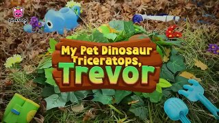 Meet the Plant Eater Dinosaur Triceratops- Trevo My Pet Dinosaurs Dinosaur Cartoon Pinkfong