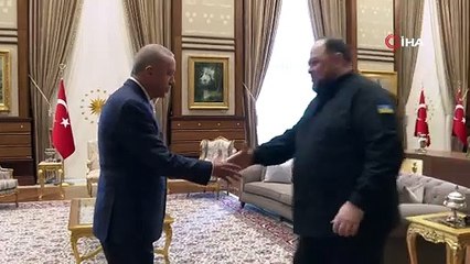 Cumhurbaşkanı Erdoğan, Ukrayna Meclis Başkanı'nı kabul etti