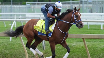 Enhanced Sports Betting with Data: SportsGrid & DRF's Partnership