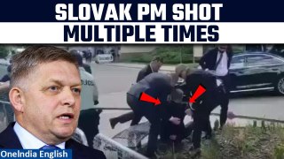 Putin's Ally Robert Fico Shot: Slovakia PM Assassination Attempt Jaw-Dropping Moment
