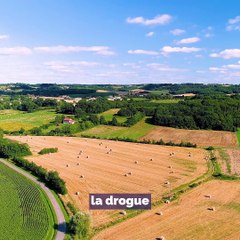 La commission d'enquête #Narcotrafic rend ses conclusions