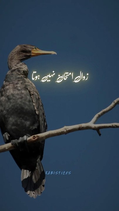 Zawaal imtahan nahi hota