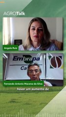 A temperatura pode influenciar o ciclo das plantas? Pesquisa mostra como isso pode acontecer