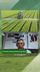 Como o óxido nitroso chega ao solo? Entenda porque o plantio direto é mais resiliente!