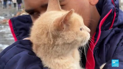 Las lluvias arrasan con los sueños de cientos de granjeros en Brasil