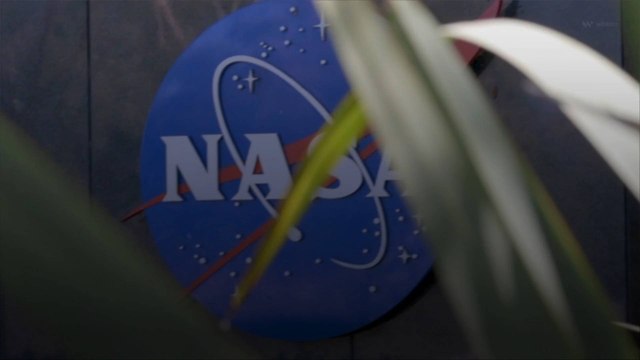 Contractor Warns of Potential Catastrophe if NASA Goes Ahead With Scheduled Launch