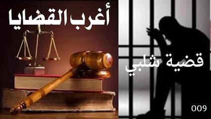 قضيه شلبي من قصص اغرب القضايا