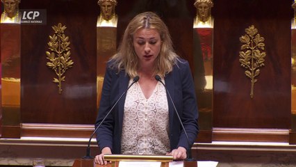 "Un choix politique criminel" : Marie Pochon (Ecologiste) critique le projet de loi d'orientation "pour la souveraineté en matière agricole et le renouvellement des générations en agriculture"