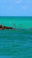 Part 2 New recruits at Miami Dade Fire Rescue Ocean Division practicing inside of the notorious Haulover Inlet and beach in Miami Florida