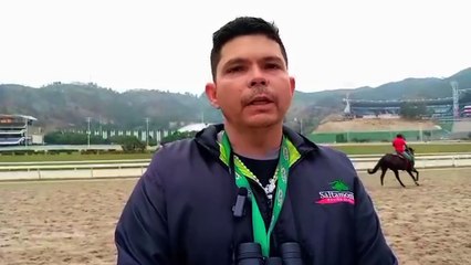 Hipismo: José Luis Balzán habla de sus ejemplares.