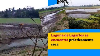 Laguna de Lagartos se encuentra prácticamente seca