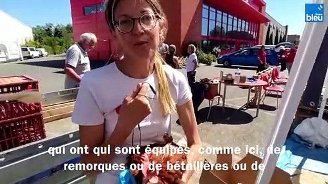 Opération sauvetage de poules pondeuses
