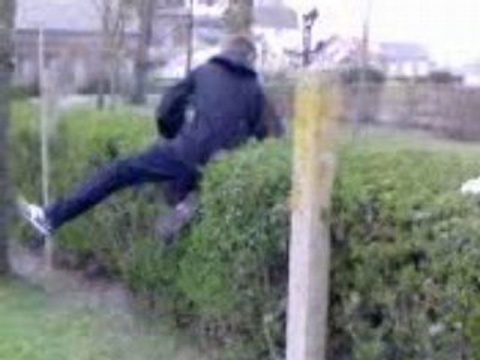 Buisson