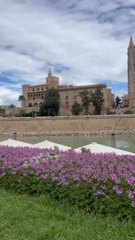 LA PLUS BELLE balade à faire à Palma