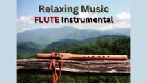 Ranjhaa Relaxing Flute Instrumental | Soothing Music | Instrumental |