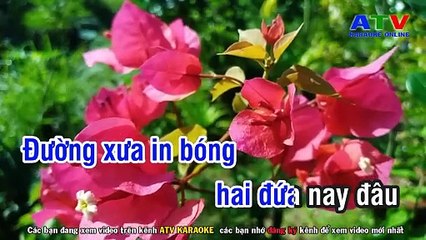 12.Karaoke  Nỗi Buồn hoa Phưỡng - Tone Nam - Karaoke Nhạc Sống - ATV Karaoke