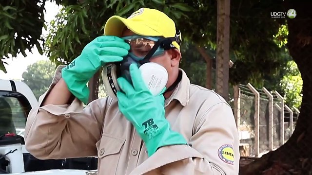 Aprueba la OMS nueva vacuna contra el dengue, en medio de una crisis por la enfermedad en las Américas