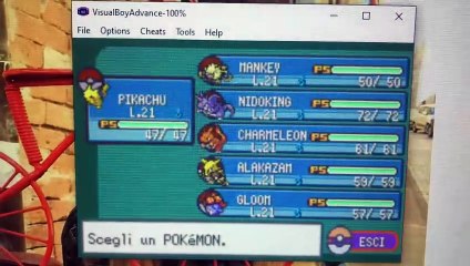 Pokémon Rosso Fuoco - Sfida contro Capopalestra Misty