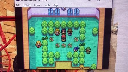 Pokémon Rosso Fuoco - Sfida contro Capopalestra Erika