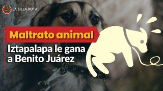 Iztapalapa le gana a Benito Juárez en maltrato animal; 10 años liderando casos