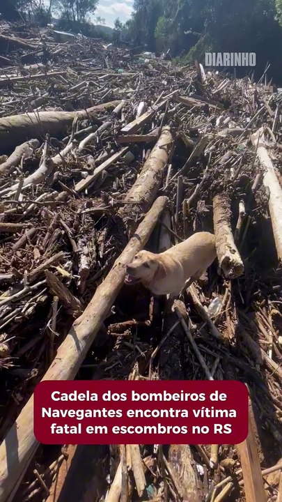 Cadela dos bombeiros de Navegantes encontra vítima fatal em escombros no RS