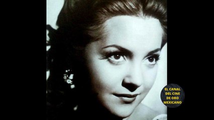 BELLA ACTRIZ DEL CINE DE ORO DEJÓ SU CARRERA UNIVERSITARIA PARA TRABAJAR CON PEDRO INFANTE