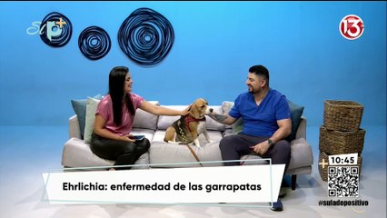 Entrevista - Ehrliquia: La enfermedad de las garrapatas