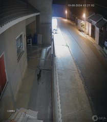 Paciente furta ambulância e usa veículo para invadir mercado no PR