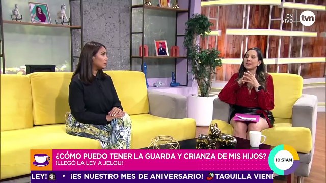 ¿Cómo puedo obtener la guarda y crianza de mis hijos?