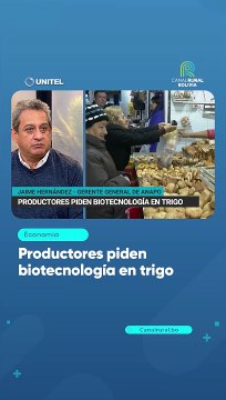 Productores piden biotecnología en trigo