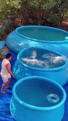 Jump into Swimming pool