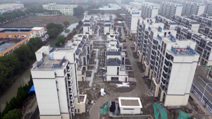 Beijing may buy unsold homes to help market: report