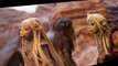 The Dark Crystal Age of Resistance (Tv Series) The Dark Crystal Age of Resistance S01 E006 – By Gelfling Hand …
