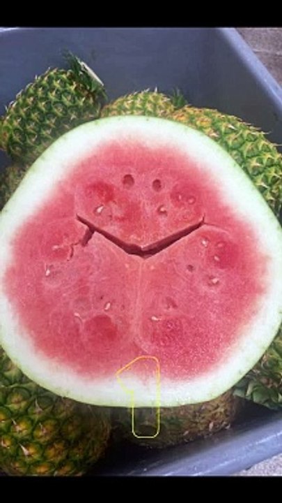 Faces Appeared on Eating Items - Part 3