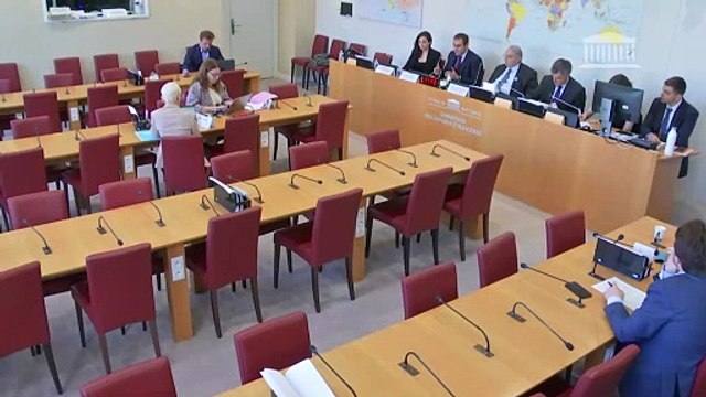 Commission des affaires étrangères : Enjeux internationaux de l’intelligence artificielle - Mercredi 15 mai 2024