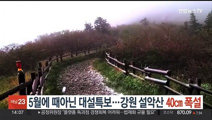 5월에 때아닌 대설특보…강원 설악산 40㎝ 폭설