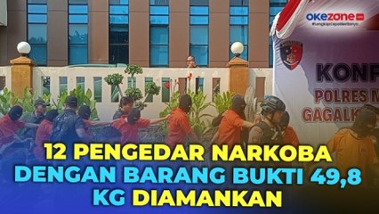Polisi Tangkap 12 Pengedar Narkoba dengan Barang Bukti 49,8 Kilogram