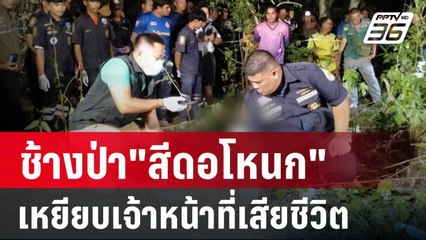 ช้างป่า"สีดอโหนก"เหยียบเจ้าหน้าที่เสียชีวิต | เที่ยงทันข่าว | 16 พ.ค. 67