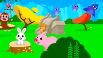 My Tail is Gone- Storytime with Pinkfong and Animal Friends Cartoon Pinkfong for Kids